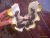 img-20141026-06618