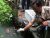 kepiting2-Pelepasliaran-kepiting-Kalimantan-hasil-sitaan-Balai-Karantina-Ikan-Jogja.-Foto-Tommy-Apriando-326×245
