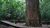 dd4263f0e1d14f5cbbcb20f46a9bcc0b