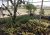 59e7253376838-taman-agro-wisata-bppt_641_452