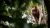 483938_getattachment01287b10-d04f-4f4d-8a2d-c4d5a7b7265c475322-720×405