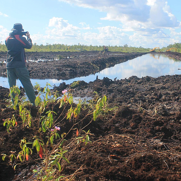 Seorang warga sedang mengabadikan proyek penutupan kanal primer bekas Proyek Pengembangan Lahan Gambut (PLG) sejuta hektar di Kabupaten Pulang Pisau, Kalimantan Tengah, Kamis (15/6). Kanal tersebut akhirnya setelah 20 tahuun ditutup. Pasalnya, kanal itu menjadi salah satu sumber kebakaran hutan dan lahan di Kalimantan Tengah. Penutupan itu merupakan proses memulihkan kembali lahan gambut.

Kompas/Dionisius Reynaldo Triwibowo (IDO)
15-06-2017