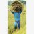 503383_getattachmente403a2f3-35be-461f-9d22-e28ce1514d6c494768-720×720