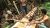 20180102_SAGU_1_web-720×405