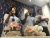 20180328AIK1