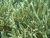 IMG-20180412-WA0014-720×540