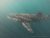 hiupaus01-720×540