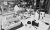 kompas_tark_11161297_14_0-720×430