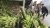 kompas_tark_14876023_78_1-720×405
