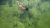 20180502_BAJO_1_web