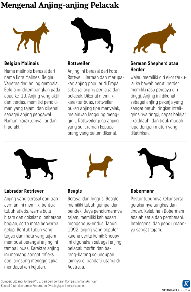 Bahasa ilmiah anjing