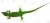 20180619Green-Lizard-Shutter-Stock-1024x462