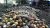 20180712_KELAPA_D_web-5-720×405