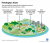 20181105_GKT_Pentingnya-Alam-Lingkungan-Hidup-bagi-Manusia-Living-Planet-Report-WWF-2018-Kompas-ID-mumed-W_1541414568