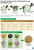 20181118-NSW-Perkawinan-Silang-Antara-Kambing-Boer-dan-Kambing-Kacang-mumed-web-_1542550593