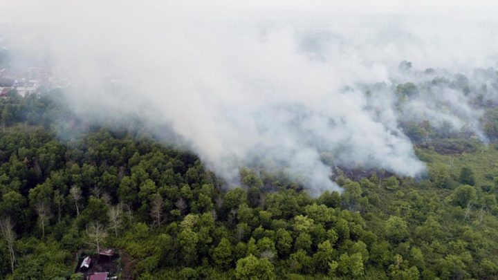Kebakaran lahan gambut yang terjadi di Sungai Raya Dalam, Kabupaten Kubu Raya, Kalimantan Barat, Senin (25/3/2019). Foto diambil dengan drone.

KOMPAS/EMANUEL EDI SAPUTRA (ESA)
25-03-2019