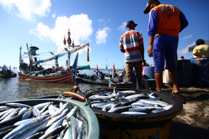 Sejumlah nelayan usai memindahkan ikan hasil tangkapan dari perahu ke dermaga Pelelangan Ikan di Muncar, Banyuwangi, Rabu (8/5/2019). Penurunan drastis produksi lemuru dalam 10 tahun terakir berdampak pada banyak pihak yang bergerak di sektor perikanan di Muncar.