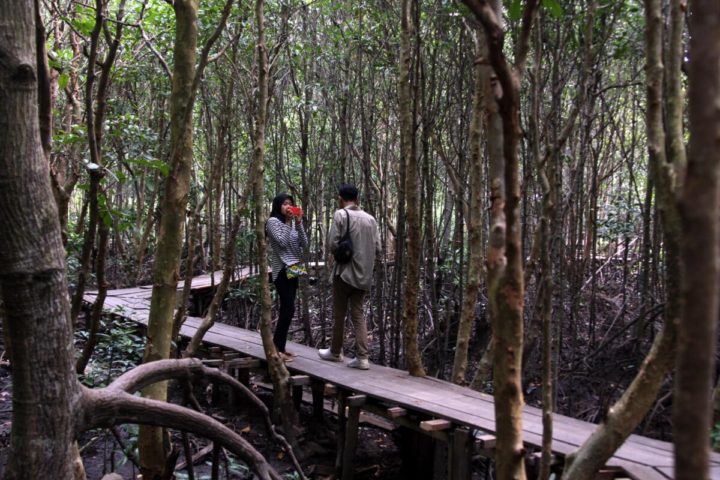 Diselamatkan dari Konversi Lahan
Kawasan hutan mangrove seluas 26 ha di Dumai, Riau ini diselamatkan dari perubahan fungsi bagi kawasan industri. Lahan yang telanjur terbuka ditanami kembali dengan mangrove dan digunakan untuk ekowisata masyarakat yang mendukung perekonomian langsung maupun meningkatkan hasil perikanan. Tampak suasana Bandar Bakau yang dikelola warga setempat, Sabtu (27/7/2019).
KOMPAS/ICHWAN SUSANTO (ICH)