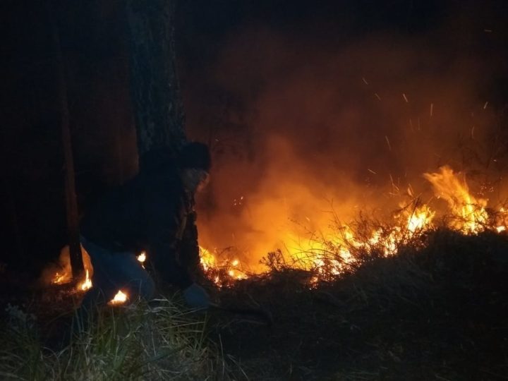 Petugas sedang memadamkan api yang membakar lahan di lereng Gunung Arjuna tepatnya di wilayah Taman Hutan Raya R Soerjo di Batu, Jawa Timur, Minggu (28/7/2019).