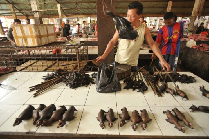Pasar Tomohon - Suasana Pasar Tomohon di Kota Tomohon, Sulawesi Utara, Minggu (29/7). Di pasar ini banyak ditemukan penjual beragam jenis satwa liar untuk konsumsi.

Kompas/Iwan Setiyawan (SET)
29-07-2012

Ekspedisi Cincin Api - Sulawesi