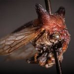 1078542711_0_0_1000_541_1000x541_80_0_0_7712f3d25e37b1003bc07304bc7c5ef2