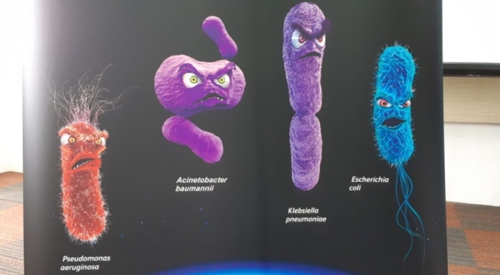  Bakteri Laut  di Alor untuk Antibiotik Baru Rumah Pengetahuan