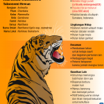 20190729-ANU-Profil-HArimau-Sumatera-mumed_1564407753