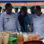 bupati pulangpisau panen kopi di lahan gambut
