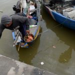 Nelayan Tambaklorok Sepi Tangkapan  Ikan