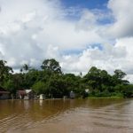 20200706IDO_Hutan_Adat_Simpur4_1594038251-768×432