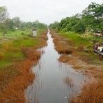 20200709IDO_Presiden_Food_Estate1_1594300190-768×432