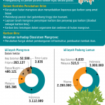 20180803h14-ardin-Mangrove-mumed-web