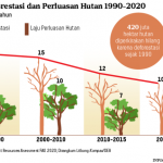 20200713_ARJ_Tren-Deforestasi_mumed_1594638278-627×432