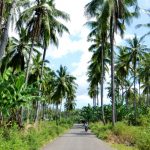 Komoditi unggulan