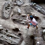 Pelabelan Individu Homo Sapiens Goa Harimau