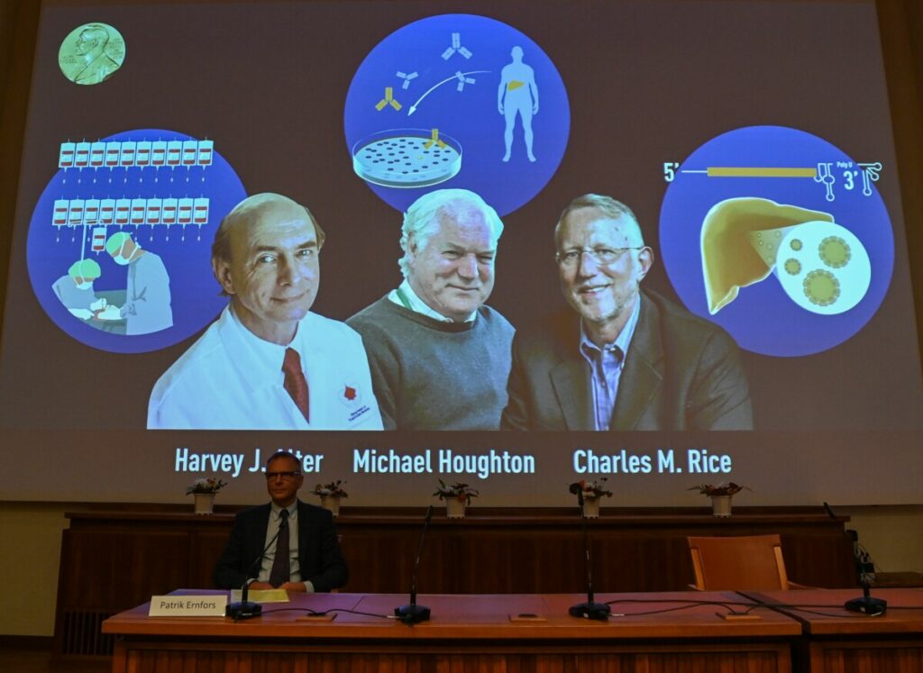 Nobel Committee member Patrik Ernfors sits in front of a screen displaying the winners of the 2020 Nobel Prize in Physiology or Medicine, (L-R) American Harvey Alter, Briton Michael Houghton and American Charles Rice, during a press conference at the Karolinska Institute in Stockholm, Sweden, on October 5, 2020. - Americans Harvey Alter and Charles Rice as well as Briton Michael Houghton win the 2020 Nobel Medicine Prize for the discovery of Hepatitis C virus. (Photo by Jonathan NACKSTRAND / AFP)