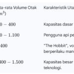 WhatsApp Image 2026-02-20 at 17.04.21