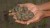 9e3879f78bff4d18997af95b52929895
